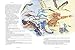 Destroyer of Sorrow: An Illustrated Series Based on the Ramayana (Sita's Fire, 3)