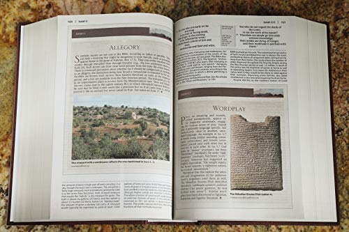 Nrsv, Cultural Backgrounds Study Bible, Hardcover, Comfort Print: Bringing to Life the Ancient World
