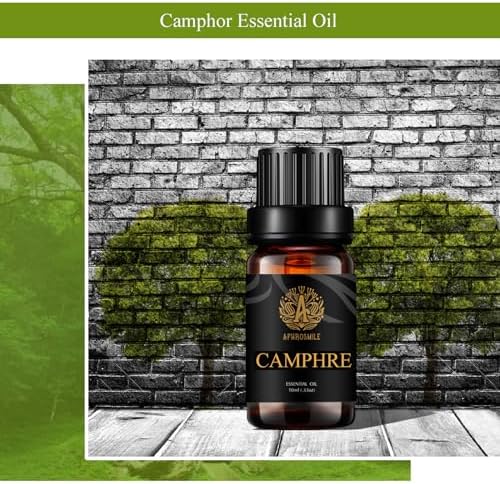 Aromatherapy Camphre Essential Oil, 0.33oz-10ml Therapeutic Grade Camphre Fragrance Essential Oil for Diffusers, Humidifier, 100% Pure Camphre Aromatherapy Essential Oil Fragrance for Massage — view 3