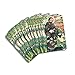 St. Francis Prayer Card Pack of 12