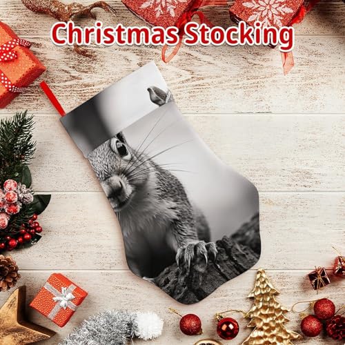 Weihnachtsstrumpf aus Polyester, Pfotenabdruck, hellgrauer Eichhörnchen-Druck, Weihnachtsstrumpf mit Pfotenabdruck, perfekte Urlaubsdekoration und Geschenktüte