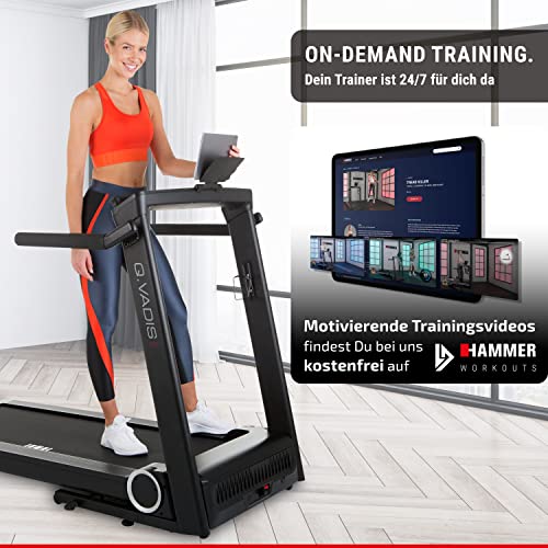 HAMMER Laufband Q. VADIS 5.0, 90% vormontiertes Laufband, senkrechte Klappfunktion, LCD-Anzeige, App-Steuerung, Kinomap… – Bild 3