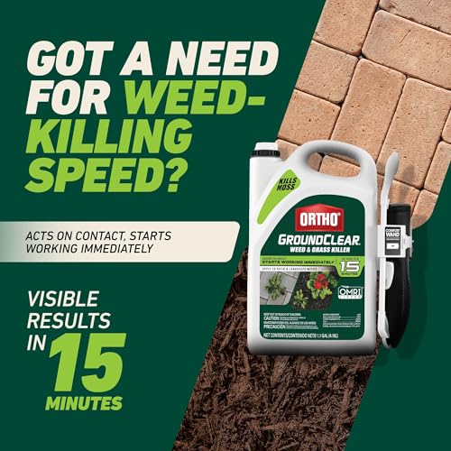 Image of Ortho GroundClear Weed & Grass Killer with Comfort Wand - Kills Dandelions, Chickweed, Crabgrass, Moss & More, OMRI Listed, Ready-to-Use Grass and Weed Killer Spray, 1.1 gal.