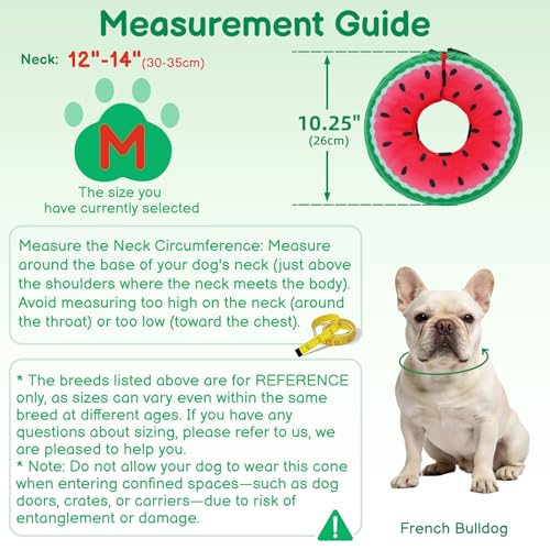 Image of Dog Cone, No-Inflation Sponge Donut Collar for Dogs After Surgery