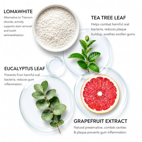 Image of Habbits Te-Cha Teeth Whitening Toothpaste - 100g | Tooth Stain Remover & Teeth Whitener | Enamel Safe Oral Care | Fights Plaque & Bad Breath | SLS & Floride Free | Activated Charcoal, Tea Tree & N-hap