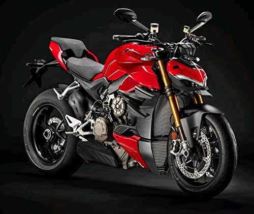 Protección de escape fibra carbono Ducati Superleggera V4 protector panel capó carenado 4