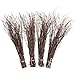 orange twigs