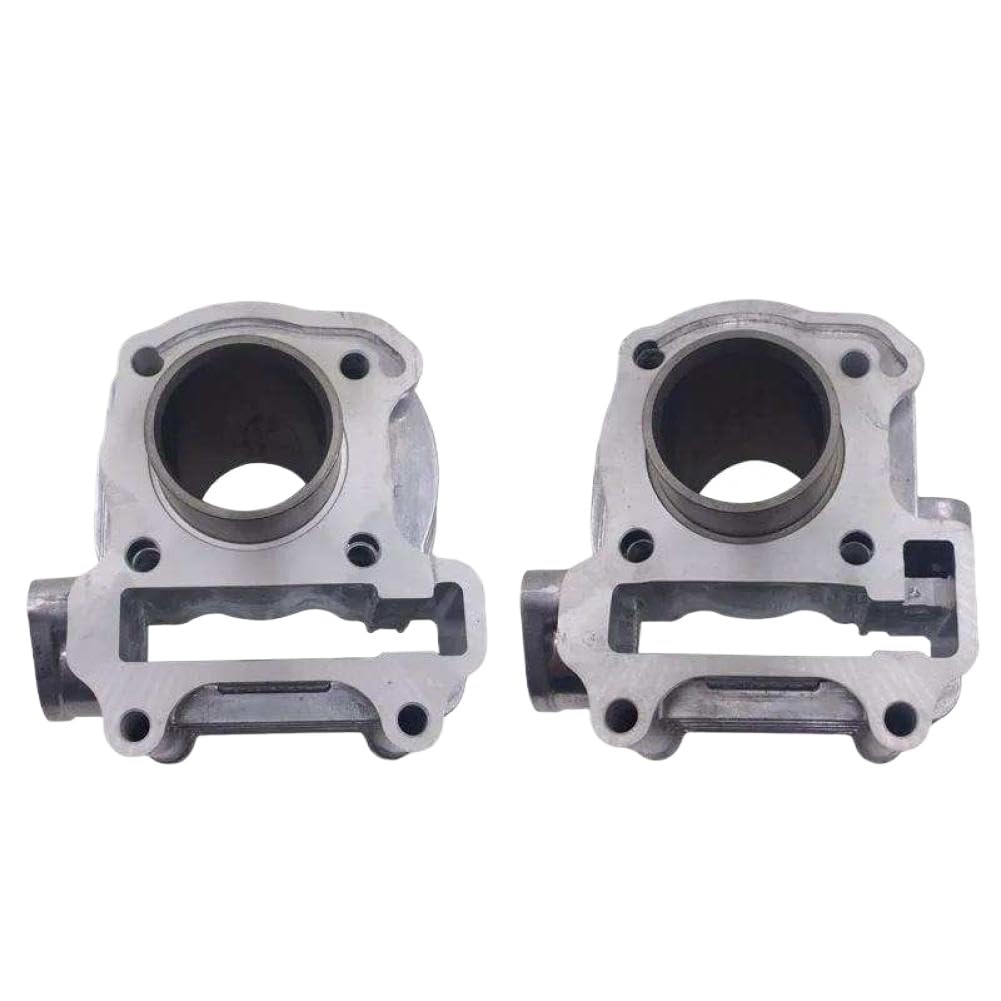Kit guarnizioni anello pistone cilindro moto compatibile con DIO GIORNO VISION TODAY 50 NCH50 NSC50 NCH50 NVS50 NSK50 EFI CARB MODEL(carburetor model)