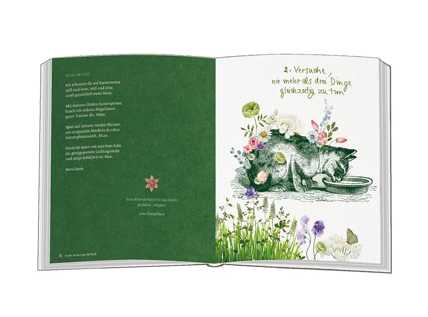 Versuche, nie mehr als drei Dinge gleichzeitig zu tun: Katzenweisheiten (Eschbacher Geschenkbuch)