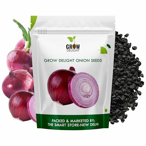 Image of Onion (Pyaz) (1250+ Seeds) Vegetable Seeds for Home Garden, Organic & Hybrid, Perfect for Home Gardening, Planting For Pots and Patio