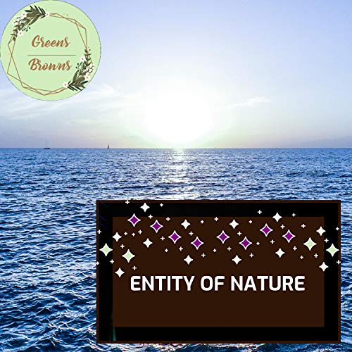 Seaven Seas Rainfall Music