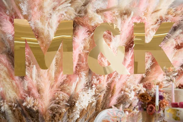 PartyDeco Gold Alphabet Spiegel Braut und Bräutigam Initialen Hipsu Acryl Buchstaben Zeichen Symbol"S" Backdrop Hochzeit Backdrop Hochzeit Hanging Wall Floral Inschrift Spiegel