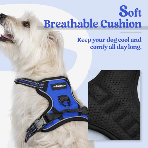 Image of rabbitgoo Dog Harness No Pull with 2 Leash Clips, Adjustable Soft Padded, Reflective Oxford No Choke Pet Vest with Easy Control Handle for Puppy, Dazzling Blue,XS