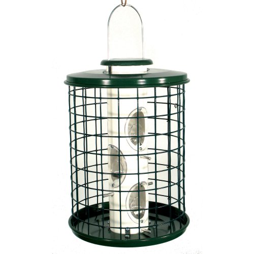Varicraft AV5M Avian Wild Bird Mixed Seed Feeder with Cage 3 Pound