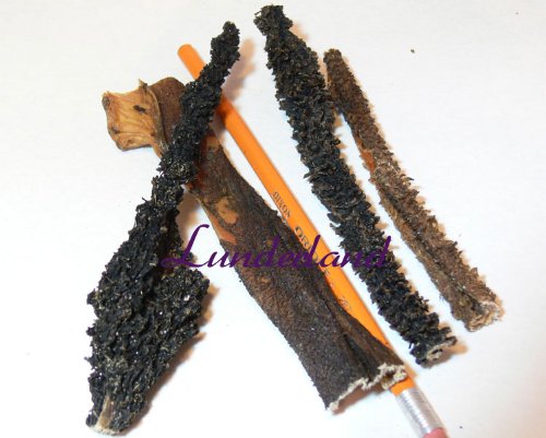 Lunderland - Rinderpansen getrocknet natur 500g