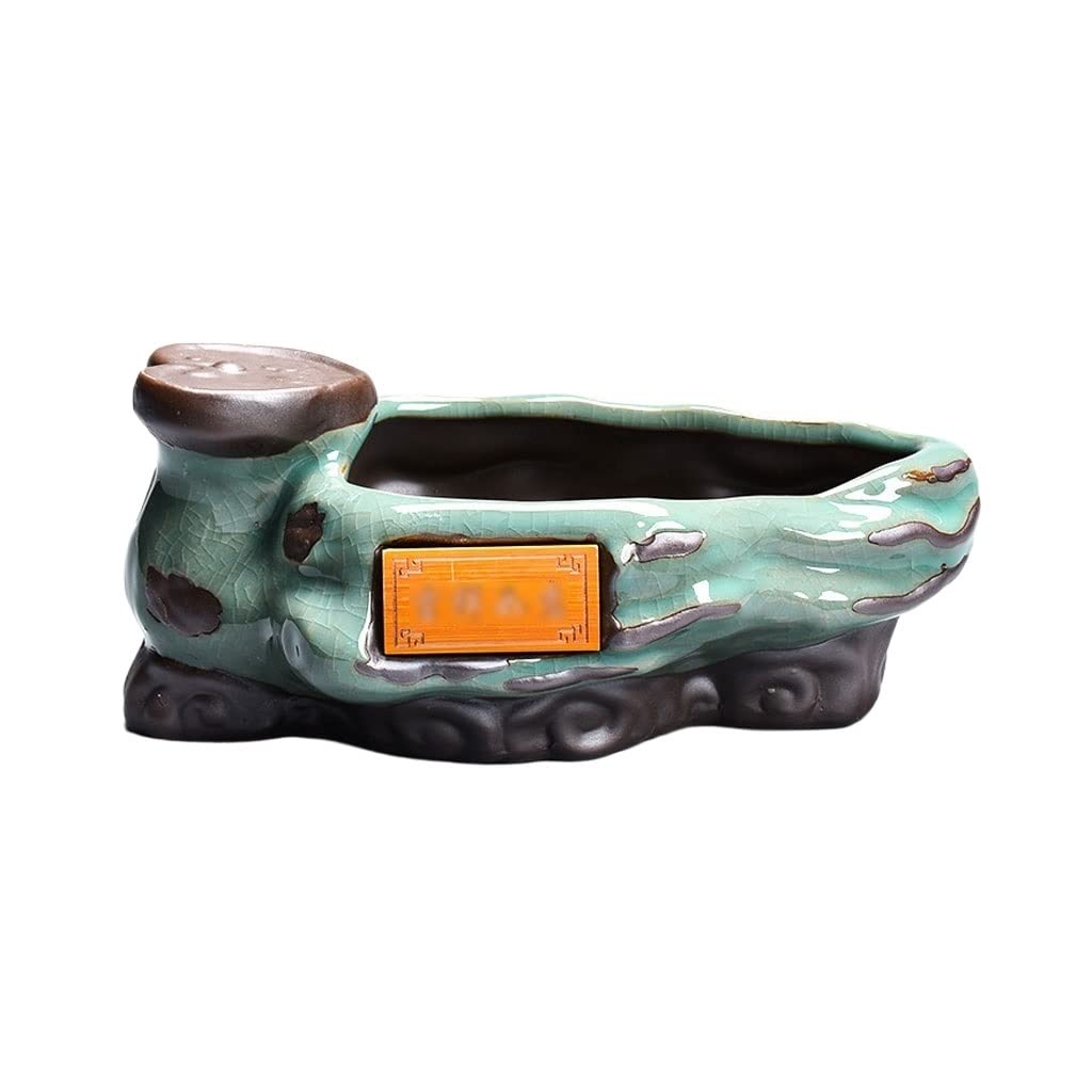 Pot pour plantes d'intérieur TUSUOD pour sauver vos bonsaïs