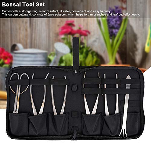 Set de herramientas para bonsái de 6 piezas acero inoxidable miniatura 5