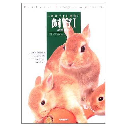 原色いもうと図鑑 Vol1 原色いもうと図鑑 : 完全美少女宣言