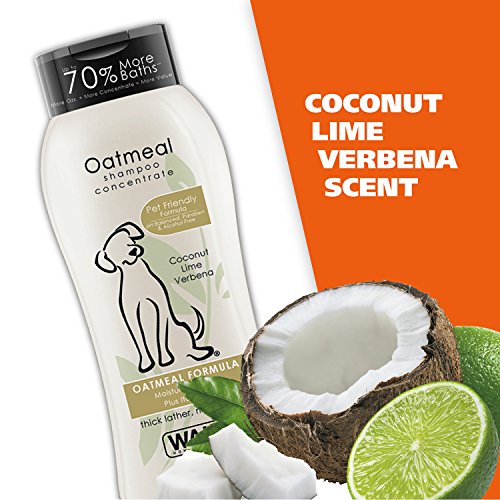 Wahl Dry Skin & Itch Relief Pet Shampoo for Dogs – Oatmeal Formula with Coconut Lime Verbena & Pet Friendly Formula, 24… - Image 6