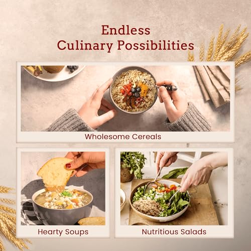 Glicks Pearl Barley Beans 16oz (3 Pack) | Premium Taste & Texture, Perfect for Soups, Stews, Cholent, Chilis