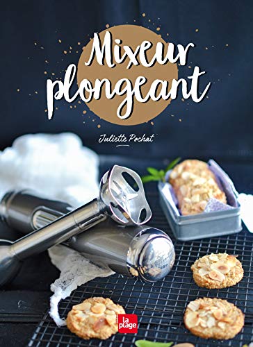 Mixeur plongeant PDF