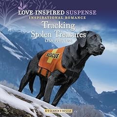 Tracking Stolen Treasures cover art