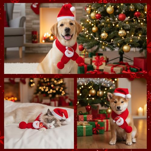 Set de sombrero y bufanda de Santa para perro grande miniatura 7