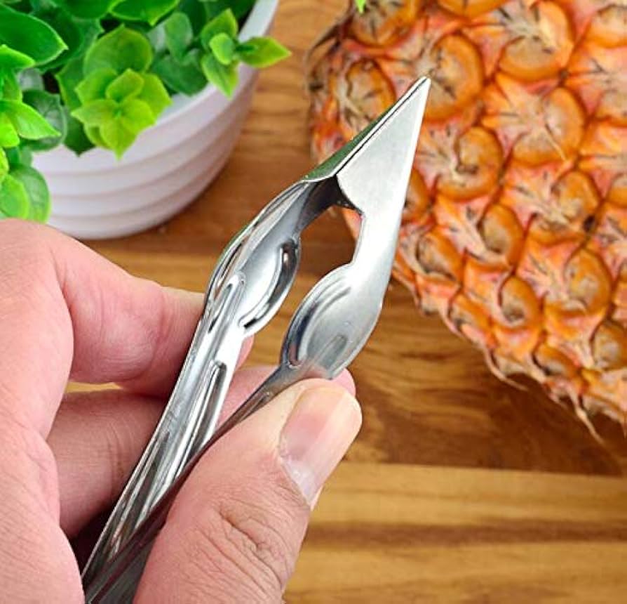 アボカドパイナップルページ Amazon | VNDEFUL ステンレススチールパイナップルクリップ