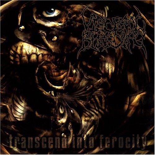 Transcend Into Ferocity
