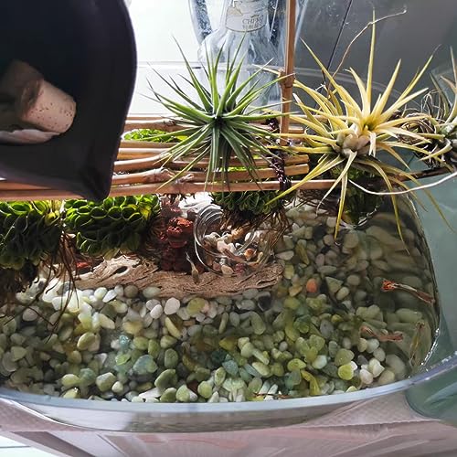 Image of YISZM 10LB Succulent and Cactus Pebbles, 1 /5 Inch Jade Natural Decorative Polished Stones, River Rocks for Plants, Vases and Outdoor Gardening,Green