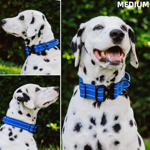 Image of Tuff Pupper Tactical Dog Collar | Heavy Duty 1.5 inch Wide Ballistic Nylon | Training Control Handle | Quick-Release Metal Buckle | Reflective Bands | ID Tag Holder | Padded Inner Lining (Blue, Medium)