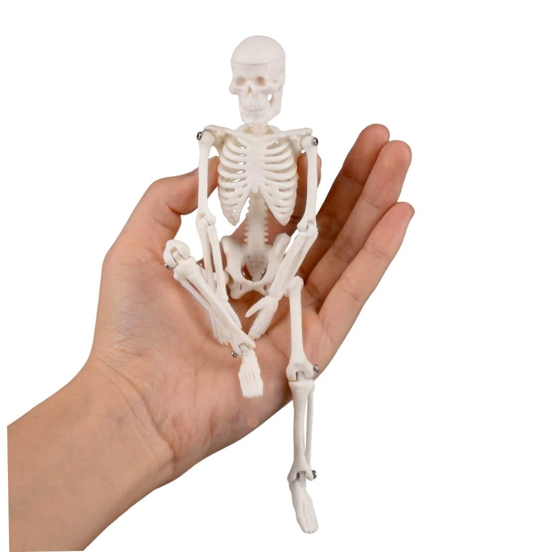 CNAFGBGG Mini Skeleton Toy for Kids 7.87inch Halloween Detachable Movable Joint Decorative Tabletop Skeleton Model for Halloween Easter Party Teaching ..