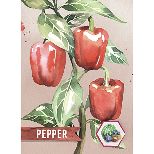 Pencil First Games Delicious Card Game - An Artful Flip-And-Write Gardening Game With Fruits And Vegetables Games For 1-100 Players #TOP5