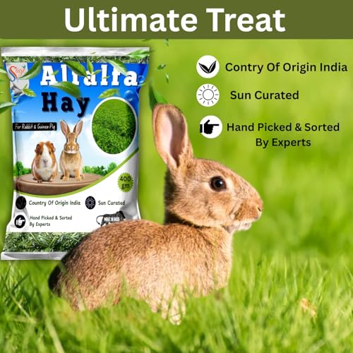 Image of Sage Square Alfalfa Hay - Protein, Calcium-Rich Hay for Rabbits, Guinea Pigs, Hamsters & Small Animals | Supports Growth, Healthy Teeth, Digestion | Sun-Dried, Hand-Selected Alfalfa Feed | 400 gm