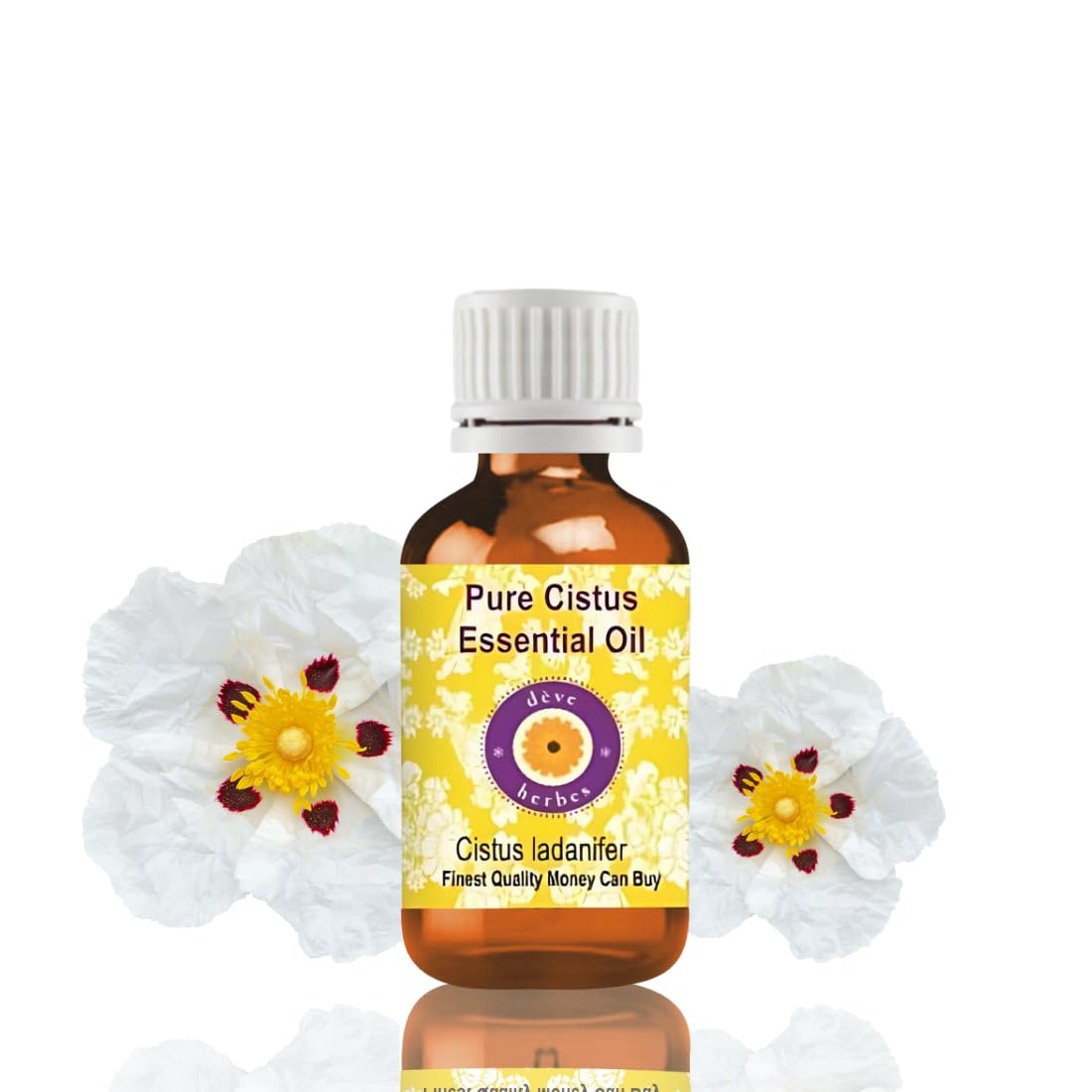 Deve Herbes Olio essenziale di cisto puro (Cistus ladanifer) non appiccicoso, non unge, aroma resinoso caldo, per aromaterapia, cura della pelle, massaggi e miscele, 30 ml