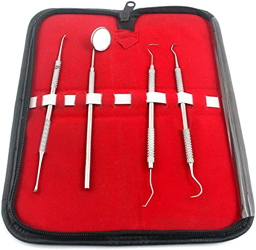 AAProTools Hygiene Kit-4 for Deep Teeth Cleaning-Professional Grade Dentist Approved