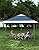 Garveelife Pop Up Gazebo 13x13, 6 Sided Outside Canopy Tent with Mosquito Netting, One Push Setup for Backyard Patio Garden Activities - Gray