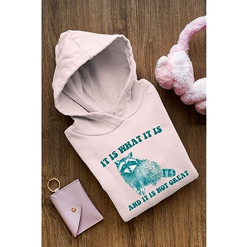 It Is What It Is And It Is Not Great - Vintage Drawing Hoodie, Raccoon Meme Hoodie, Funny Trash Panda Hoodie, Unisex Hoodie2