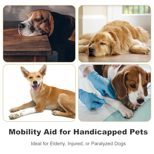 Image of NIIIYTYB Sling for Dogs Back Legs Rear Support Harness for Paralyzed or Handicapped Pets Assistance Lift Slings for Hind Leg Mobility Small Dog Handicap Supplies for Joint Injuries and Stability Black