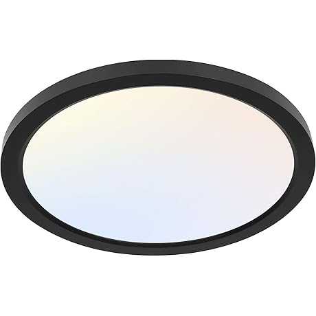 Hykolity 12 Inch Selectable CCT LED Round Light Fixture: The Perfect Lighting Solution