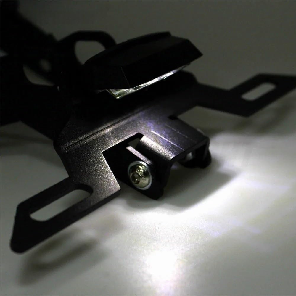 Portatarga Portatarga per targa moto Tail Tidy con luce a LED per CB300R CB300 R 2018-2019