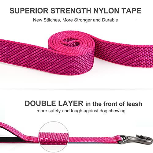 Fida 5 FT Heavy Duty Dog Leash with 2 Comfortable Padded Handles, Traffic Handle & Advanced Easy Snap Hook, Reflective… - Image 4