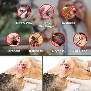 Arava Ear Cleaner Wipes for Dogs Cats Puppies Kittens - 100 Count - Natural Medicated Cleansing Deodorizer - Removes Dirt Wax - Pet Wipes for Cat Ear Cleaning, Dog Ear Cleaner Arava Ear Cleaner Wipes for Dogs Cats Puppies Kittens – 100 Count – Natural Medicated Cleansing Deodorizer – Removes Dirt Wax – Pet Wipes for Cat Ear Cleaning, Dog Ear Cleaner