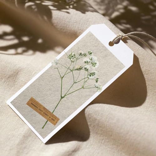 24 piezas de flores prensadas secas para manualidades miniatura 6