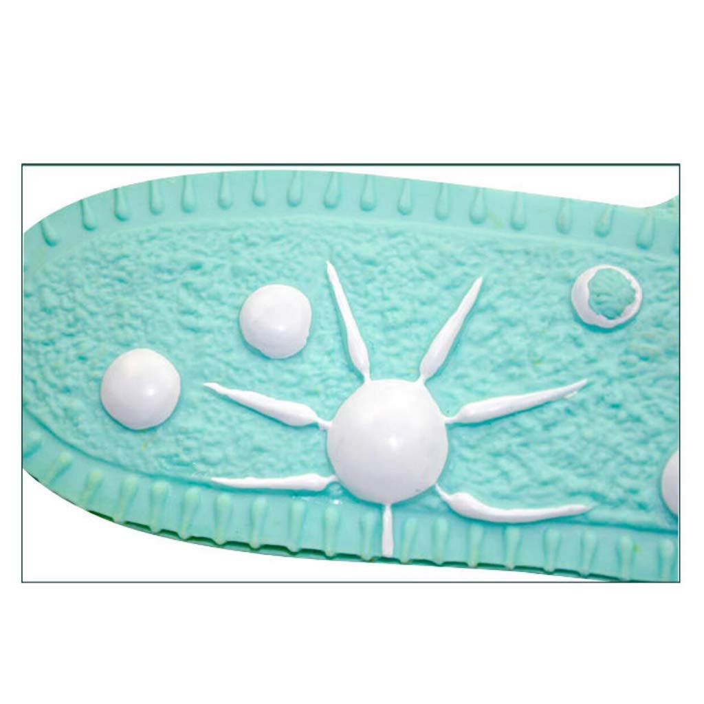 Modello Paramecium - Modelli Biologici Speciali Anatomici per Lo Studio di Classe Scientifica Mostrano Strumenti di Educazione Medica