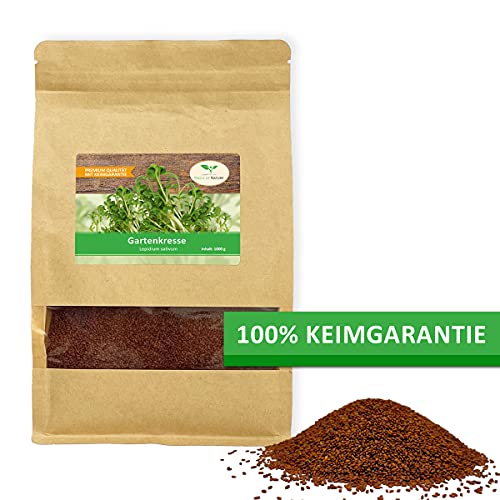 1 kg frische Kresse Samen - Gartenkresse - Microgreens für die Küche im Vorratspack - Image 3