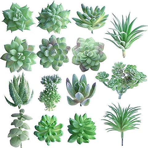 FEPITO 15 Piezas Plantas Suculentas Artificiales Cover
