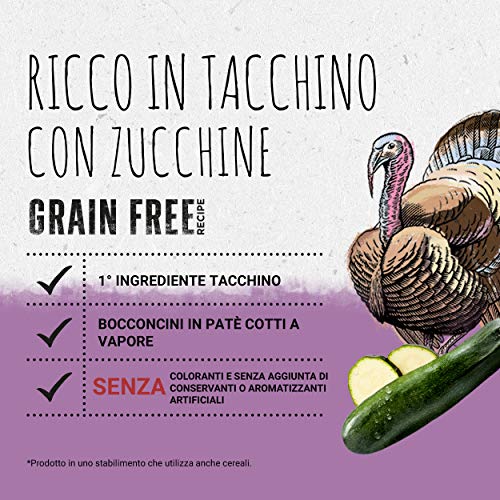Purina Beyond Grain Free Umido Cane con Tacchino e...