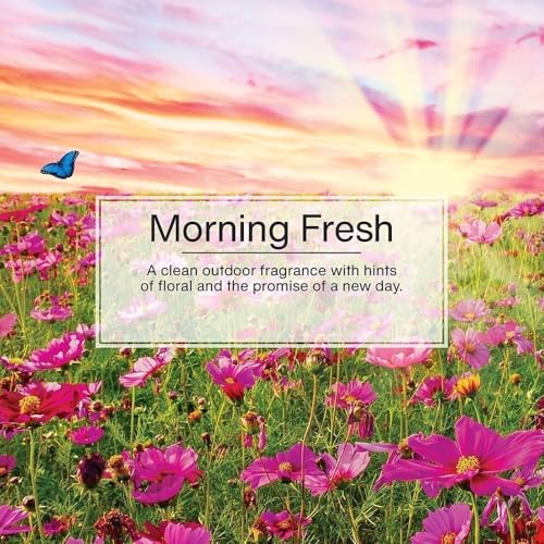 Image of LITTLE TREES Car Air Freshener | Hanging Paper Tree for Home or Car | Morning Fresh | Pack of 3