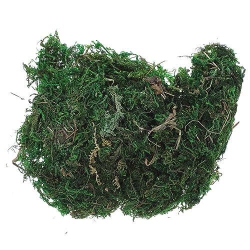 BIUDECO lHۃtFCNX 20gvX`bNA ΂݃WI}p lHϗtA ~j͌^ peBI Diy͌^ Aؔ~͗p